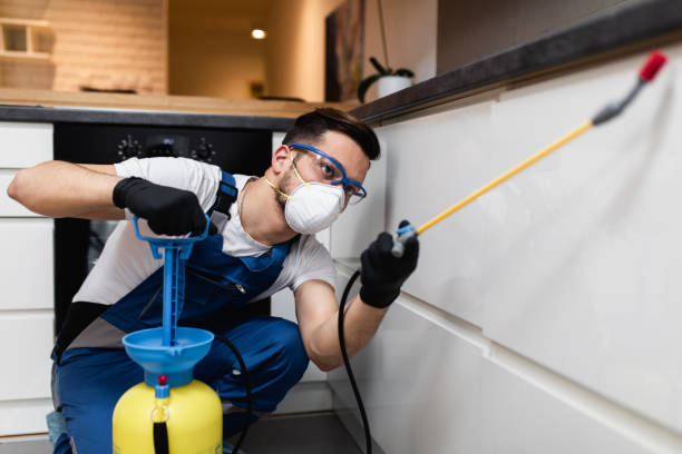 Trusted Edgemere, MD Pest Control Experts